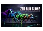 Zed Run clone-Create horse racing game like Zed Run