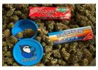 Premium Rolling Papers - PaperJays