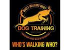 Who's Walking Who? Dog Training Utah