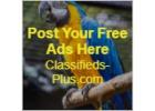 Free Classified Ad Site