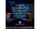 Start Your Forex Trading Journey as a Beginner