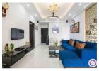 Wellington Heights Sector 117 Mohali | Ready to Move 2BHK & 3BHK Flats