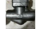 Steam Trap suppliers in UAE