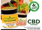 CBD Gummies – A Tasty Treat for Relaxation & Wellness!