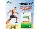 Herbal testosterone supplement