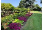Garden Maintenance Services Curl Curl