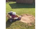 Stump Grinding North Shore | North Shore Tree Loppers