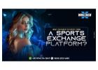 Play Online Games & Enjoy Real-Time Sports Gaming on Winexch