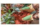 Wood Chipping Mulch Northern Beaches