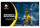 Get Live Online Cricket ID Start Instantly & Enjoy Benefits