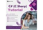 Learn C# Programming: Step-by-Step Guidance for Beginners