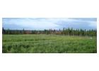 Green Municipal Wastewater Solutions in Canada
