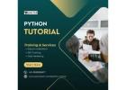 Master Python Programming with Ease!