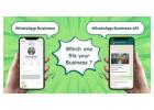 WhatsApp Business vs WhatsApp Business API: What Should You Use?