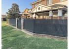 Mint Fencing