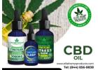 Embrace Natural Wellness and Everyday Calm with CBD Oil