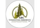 Washington Tree Experts