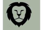 Hair Thickener For Men