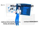 What is JavaScript?