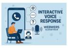 Interactive voice response