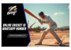 Online Cricket ID WhatsApp Number – Play All Your Favorite Games Fast