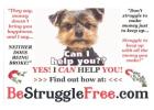 Get paid $500 to $1000 with a call back team