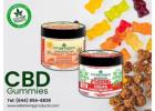 Stay Zen & Zingy with Power CBD Gummies