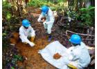 Trust Gold Mining Companies with a Global Vision