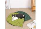 Smart Pet Care Products for Hassle-Free Routines