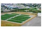 Green Municipal Wastewater Solutions | Wetland Treatment Systems