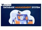 The Role of a Database Management System in Data Handling