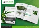 CBD Website Design Services That Help You Grow