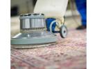 Carpet Cleaning Adelaide