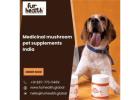 Medicinal Mushroom Pet Supplements in India – Boost Your Pet’s Health Naturally