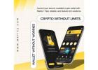 Why Choose Maticz Crypto Wallet Development?