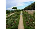 The Ultimate Vatican Tours Itinerary for History Buffs