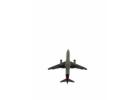 Complete List Of Ana airlines ®® Official Customer Service™ USA Contact Numbers: A Step-by-Step Guid