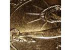 Limited Edition 2007 • D - George Washington Gold Dollar Minted Coin