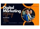 Grow Your Business With The Best Digital Marketing Agency In Delhi | Wall Communication