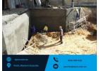 Professional Chemical Grouting Specialist in Perth