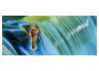 Restore Inner Harmony by Balancing Your Chakras