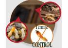 Termite Pest Control