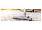 Need Professional Carpet Cleaning in Adelaide? We’ve Got You Covered!