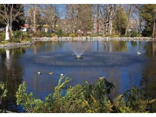 Pond Maintenance & Pond Supplies Pond Maintenance & Pond Supplies