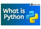 What Is Python? A Beginner’s Guide to the Most Popular Programming Language