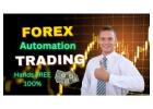 The Ultimate Passive Income Stream: Automated Forex