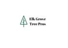Elk Grove Tree Pros
