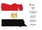 Explore Verified Egypt Export Data for Market Expansion