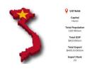 Vietnam Export Data: Trusted Insights for Global Market Analysis