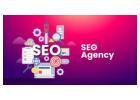 Best SEO Company in Dubai for Business Growth